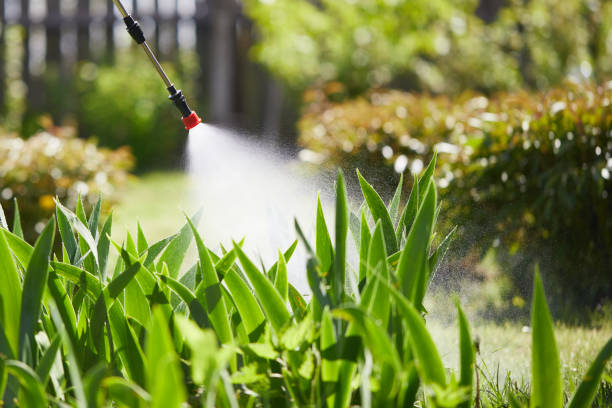 24/7 Emergency Fumigation Services experts in Finley, WA